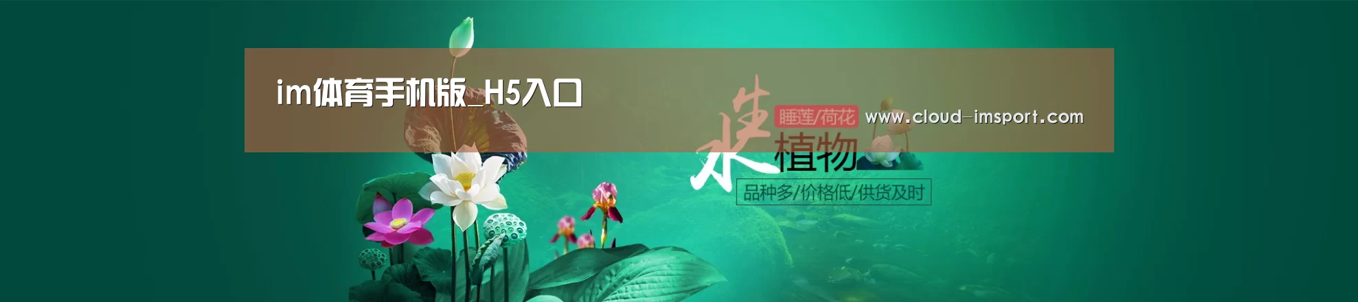 鲜花水草花卉网站模板
