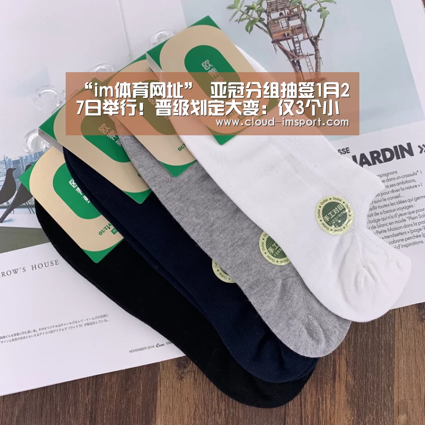 im体育网址