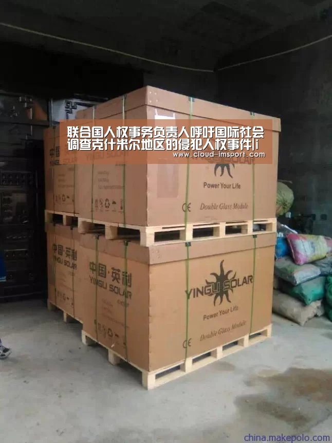 联合国人权事务负责人呼吁国际社会调查克什米尔地区的侵犯人权事件|im体育APP(图3) im体育APP