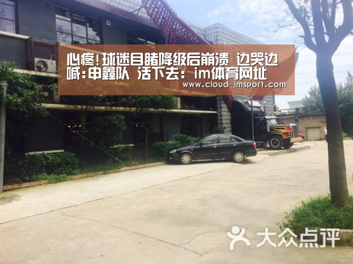 心疼!球迷目睹降级后崩溃 边哭边喊:申鑫队 活下去:im体育网址(图1) im体育APP