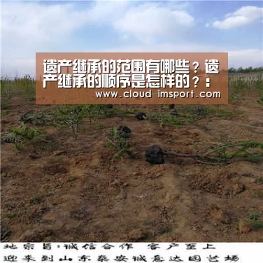 im体育网址
