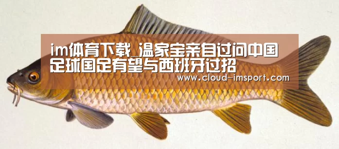 im体育下载_温家宝亲自过问中国足球国足有望与西班牙过招(图2) im体育下载