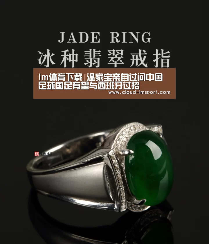 im体育下载_温家宝亲自过问中国足球国足有望与西班牙过招(图3) im体育官网