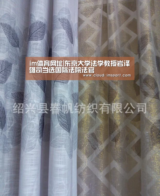 im体育网址|东京大学法学教授岩泽雄司当选国际法院法官(图1) im体育网址