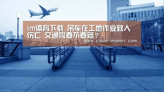 im体育下载_吊车在工地作业致人伤亡 交通险要不要赔?(图2) im体育APP