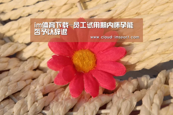 im体育下载-员工试用期内怀孕能否予以辞退(图2) im体育APP