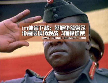 im体育下载